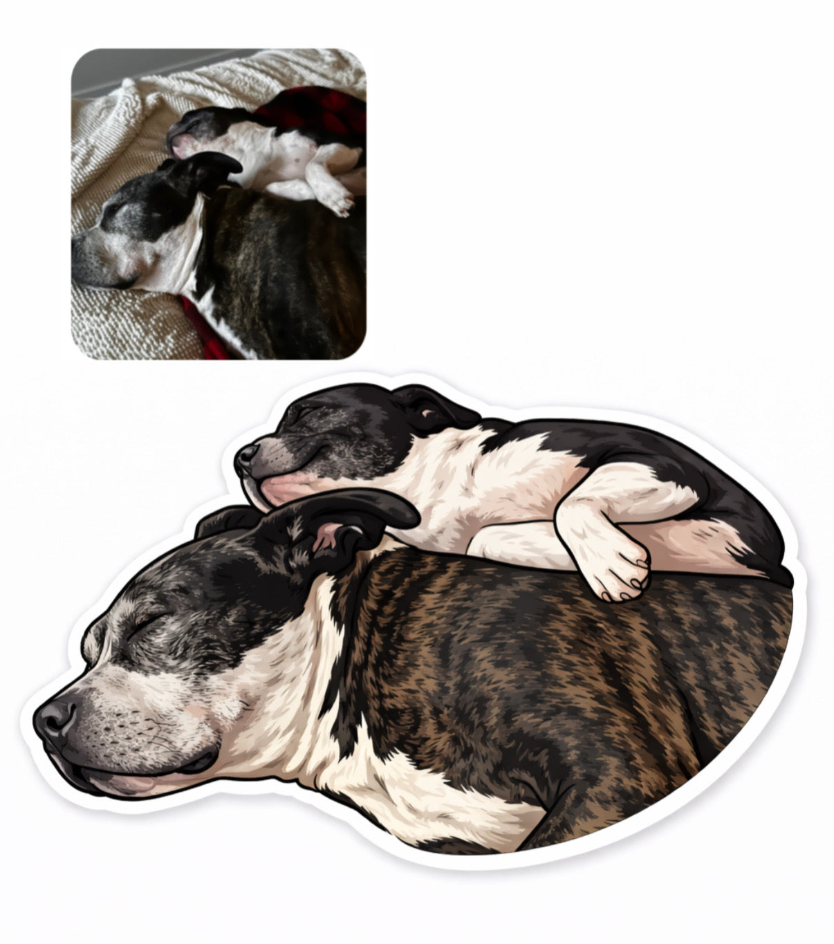 Custom Sticker Design