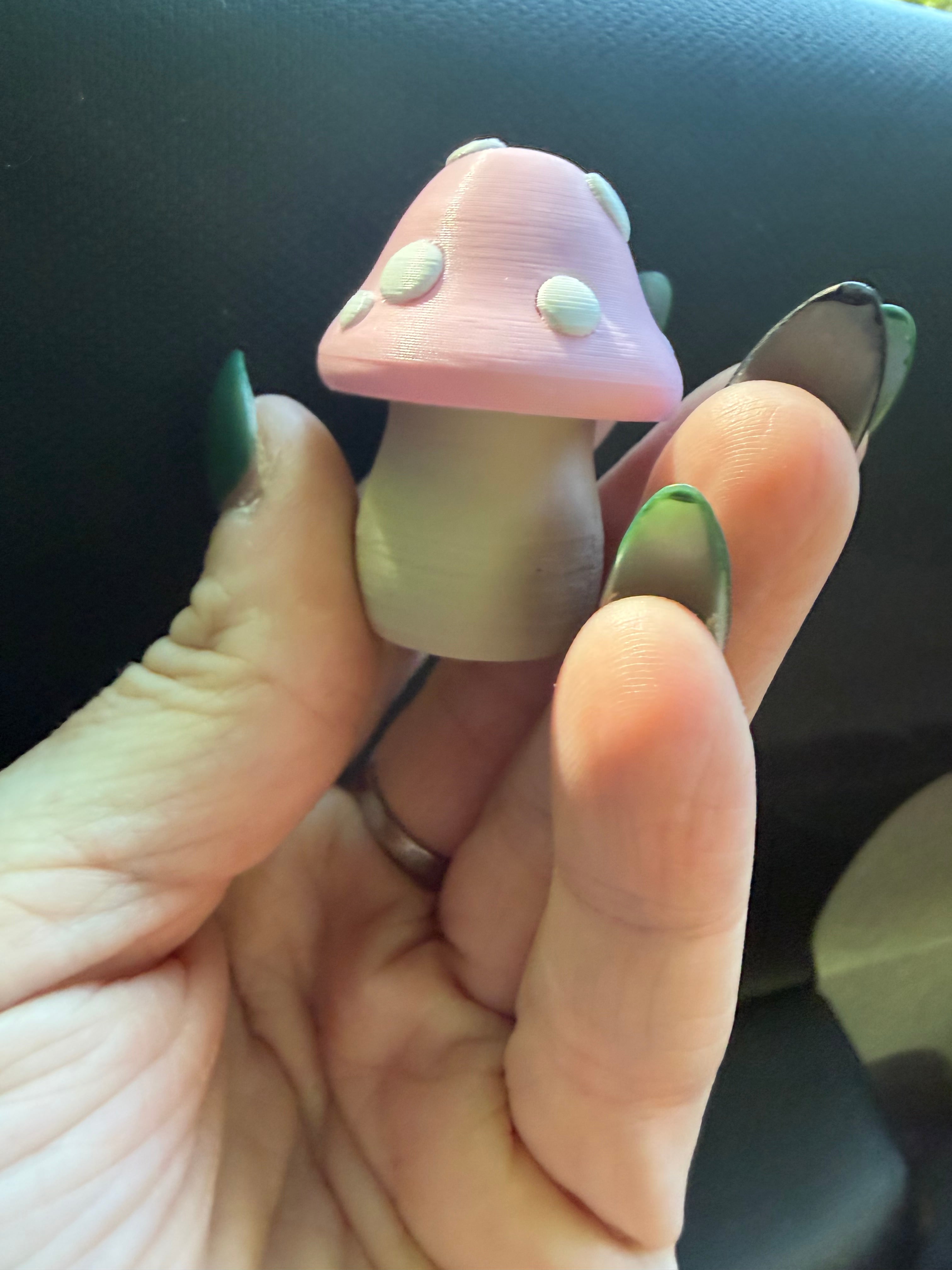 Mushroom Pill Containers