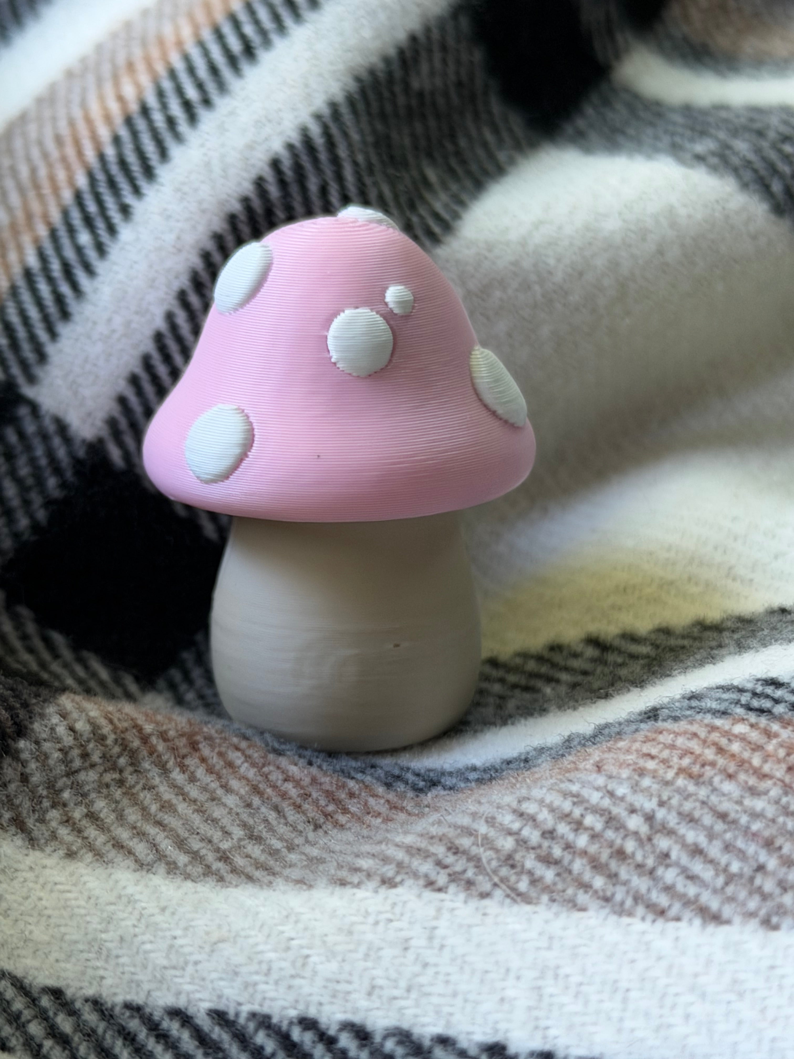 Mushroom Pill Containers